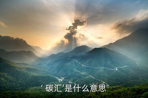 ‘ 碳汇’是什么意思