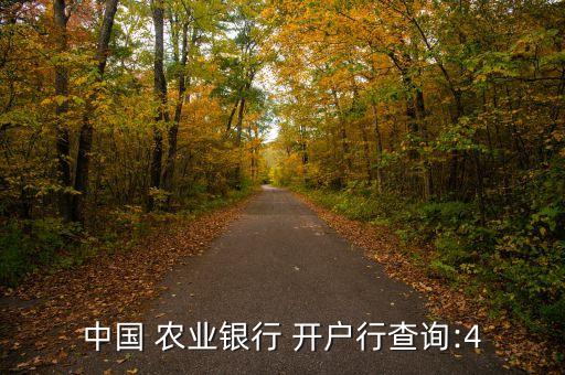 农业怎么查找开户网点,农业银行卡开户网点代码