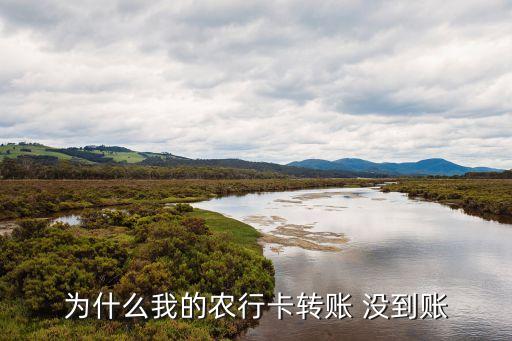 农业银行打款没到账怎么办