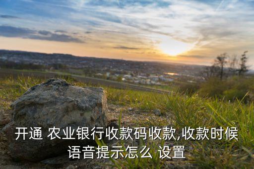 农业码怎么设置,农业限额设置在哪里
