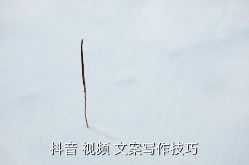 农业节目文案视频怎么做,儿子节目表演视频号文案