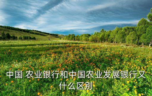 农业银行和农发行怎么选,农发行和农业银行哪个待遇好
