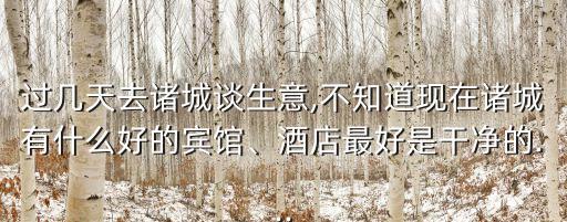 过几天去诸城谈生意,不知道现在诸城有什么好的宾馆、酒店最好是干净的...