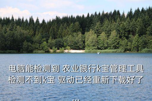 电脑能检测到 农业银行k宝管理工具检测不到k宝 驱动已经重新下载好了...