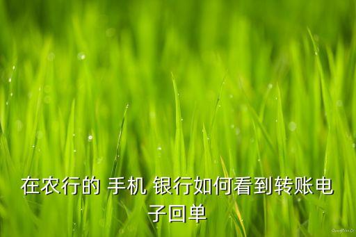 在农行的 手机 银行如何看到转账电子回单
