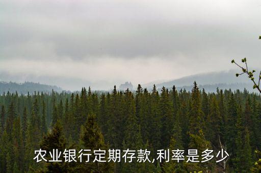  农业银行定期存款,利率是多少