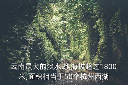 西山湖农业怎么样,辽宁师范大学西山湖校区怎么样