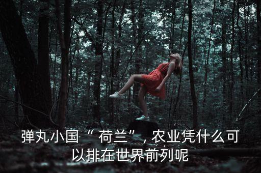 荷兰是怎么建设农业强国的