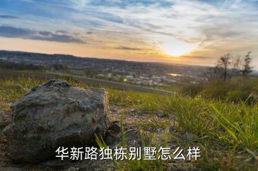 华新路独栋别墅怎么样
