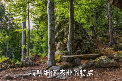  精耕细作 农业的特点