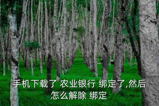 手机下载了 农业银行 绑定了,然后怎么解除 绑定