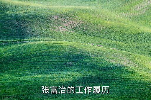 张富治的工作履历