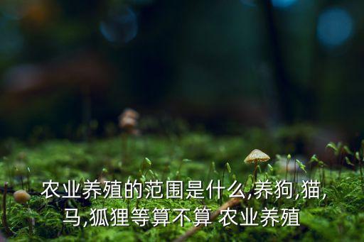  农业养殖的范围是什么,养狗,猫,马,狐狸等算不算 农业养殖