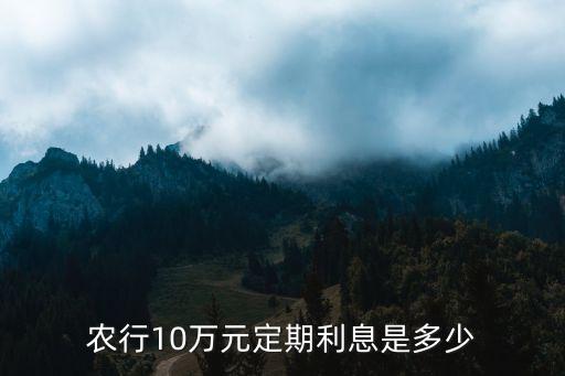 农业银行十万元怎么存