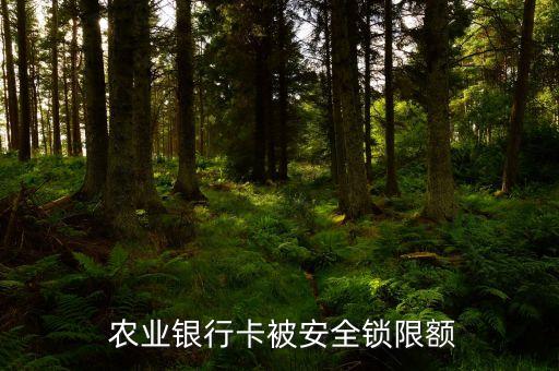 农业银行怎么设置境外锁