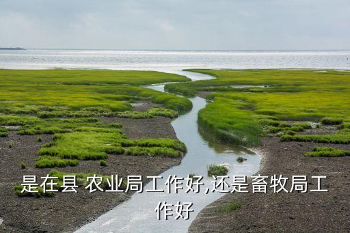 农业局上班会怎么样,在农业局上班是公务员吗