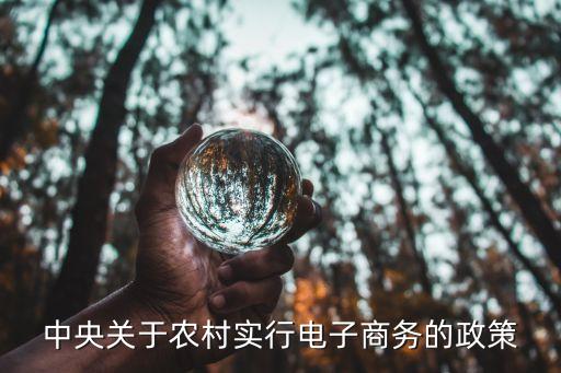 农业电商政府怎么扶持,深圳政府对跨境电商扶持