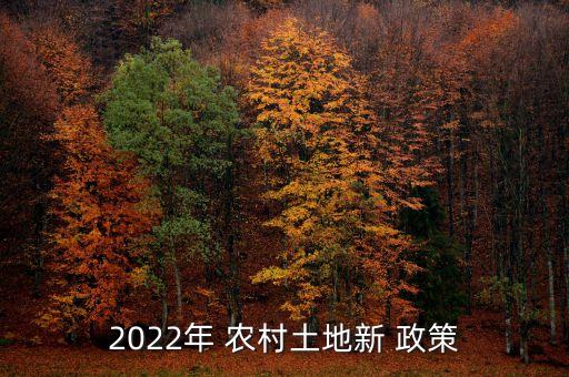 2022年 农村土地新 政策