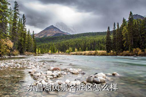 聊城绿丰农业公司怎么样