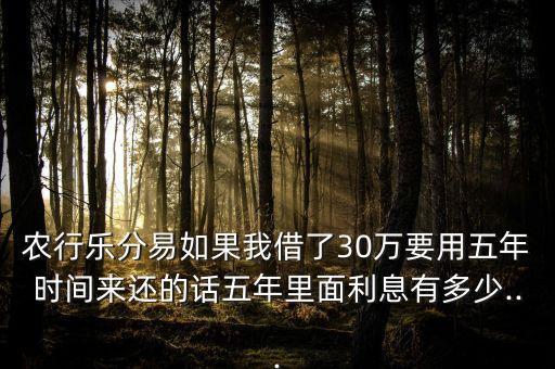 农业银行借款三十万怎么还