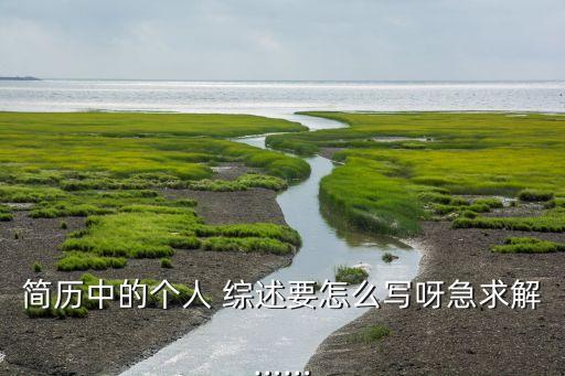 简历中的个人 综述要怎么写呀急求解……
