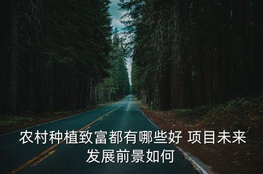 农村休闲农业怎么做好项目