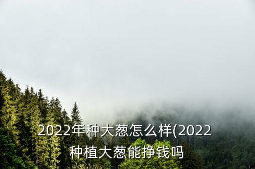 2022年种大葱怎么样(2022 种植大葱能挣钱吗