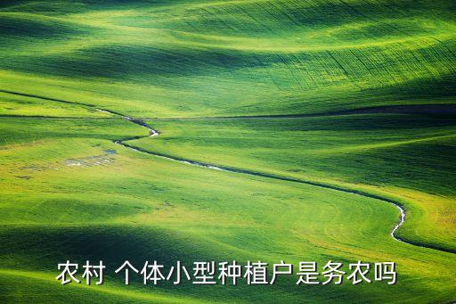 什么叫个体农业