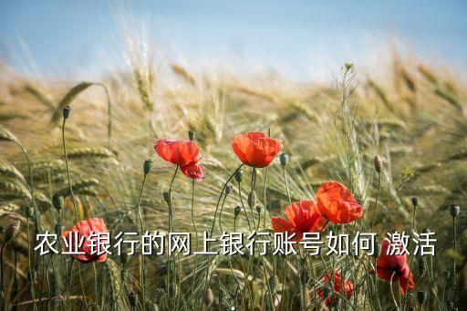手机农业网银怎么激活,农业银行卡可以在手机上开通网银吗?