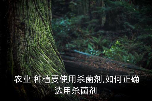 农业种植应注意什么细菌,现在农业种植什么前景好?