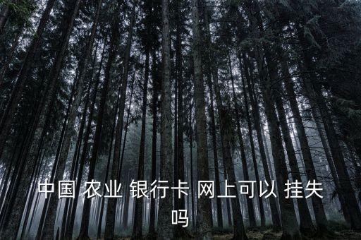 中国 农业 银行卡 网上可以 挂失吗