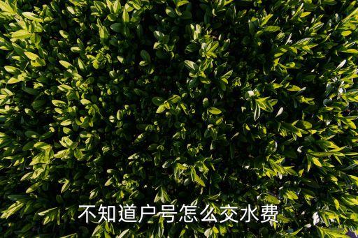 农村农业水表怎么缴费,农村水表缴费后怎么激活