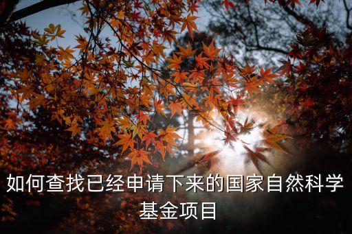 农业大蒜基金怎么搜索