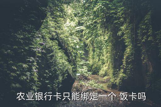农业银行怎么更改饭卡用户