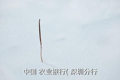 在深圳搞农业怎么样,去俄罗斯搞农业怎么样