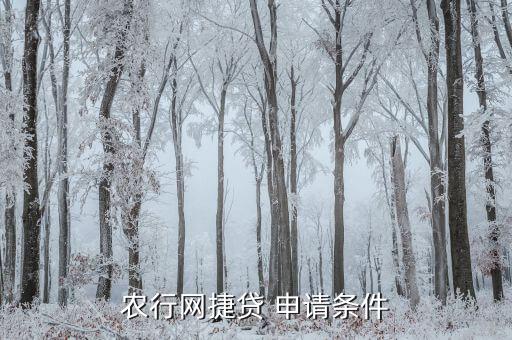 农业银行在线贷款怎么申请