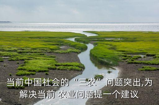 农业合作意见怎么写,农业新闻报道怎么写