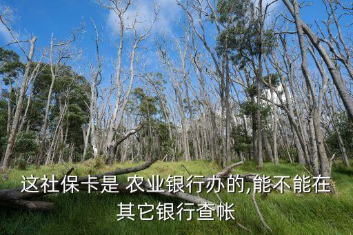 农业社会保障卡怎么查余额,社会保障卡是不是农业银行卡