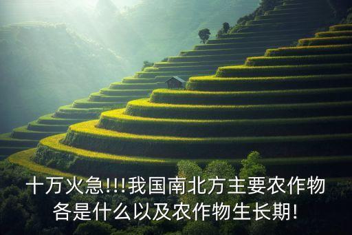 南方主要发展什么农业类型,南方丘陵适合发展什么农业