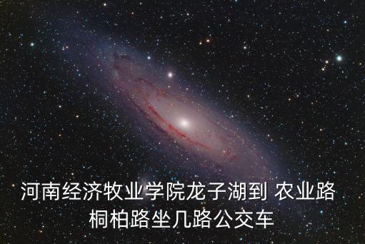 桐柏路农业路怎么走,郑州桐柏路与农业路交叉口