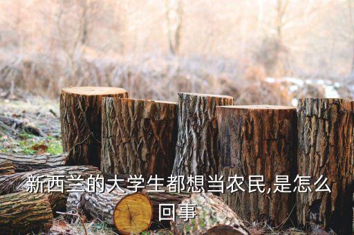 新西兰农业种植工作怎么样,你心目中未来的农业种植是怎么样的