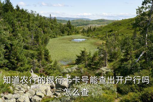 农业银行怎么查企业