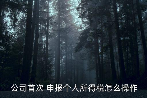 注册农业公司怎么申报个税,刚注册的公司怎么零申报