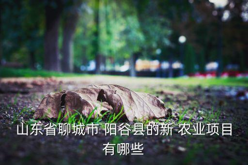 阳谷勇创农业公司怎么样