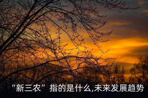 新农业指什么,什么是新农业,国家有什么扶持