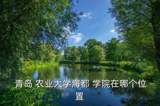 青岛农业大学什么学院