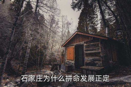 正定县在农业上是什么单一
