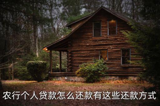 农业银行怎么还本金
