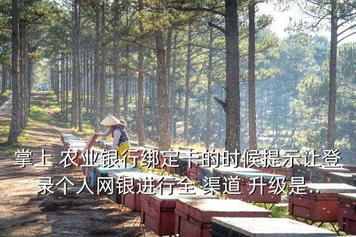 农业全渠道手机号怎么升级,渠道服怎么手机号登录