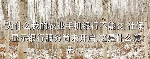 农业银行上怎么交社保,手机农业银行怎么交社保